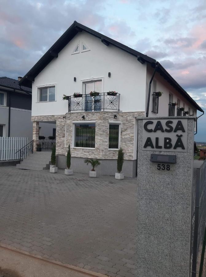 Hotel Casa Alba à Sandulesti Extérieur photo