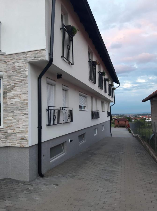 Hotel Casa Alba à Sandulesti Extérieur photo