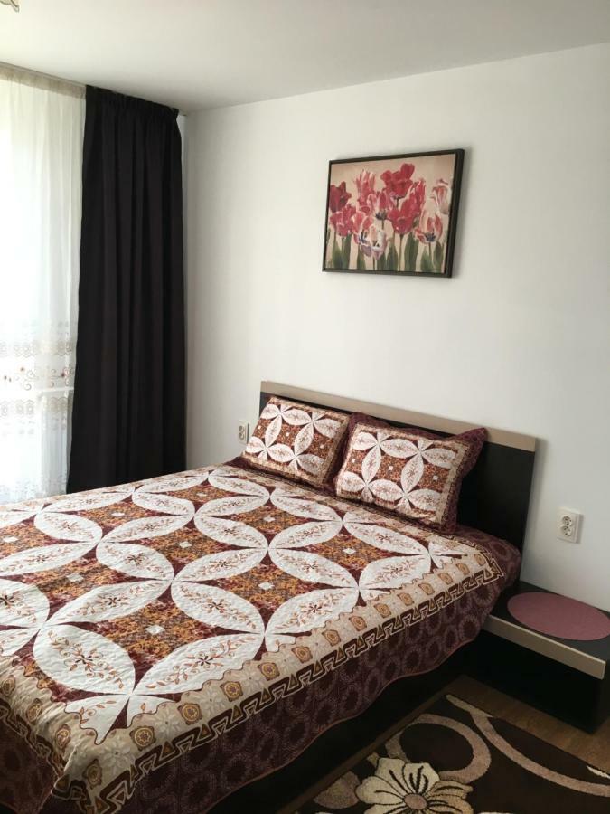 Hotel Casa Alba à Sandulesti Extérieur photo